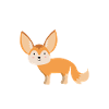 Fennec Fox