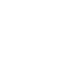 Raccoon White & Black Stencil