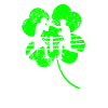 Boxen St. Patrick's Day Kleeblatt
