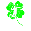 Volleyball St. Patrick's day shamrock