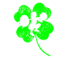 Haltérophilie Trèfle de la Saint-Patrick