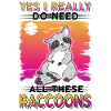 Raccoon Gift Raccoon