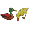enten freundschaft