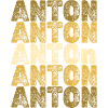 Geschenk Anton