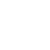 Boogie Down Bronx Grunge