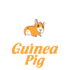 Cute Guinea Pig Gift