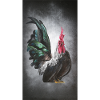 Rooster cockerel the king