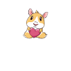 Cadeau de cochon d’Inde mignon