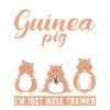 Cute Guinea Pig Gift
