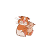 Cadeau de cochon d’Inde mignon
