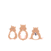 Cadeau mignon cochon d’Inde