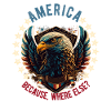 American Patriotic USA Design
