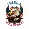 American Patriotic USA Design