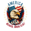 American Patriotic USA Design