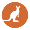 Kangourou - Australie
