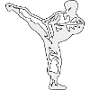 Karate Silver