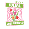 Tulipes Drôles de tulipes