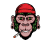 stoned monkey