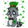 Waschbär Kleeblätter Saint Patrick's Day
