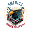 American Patriotic USA Design