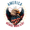 American Patriotic USA Design