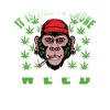 Kiffen Weed Spruch