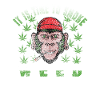 Kiffen Weed Dicton