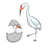 Famille Cranes - Grues avec bébé