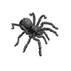 Tarantula Pet Arachnid