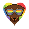 Arc-en-ciel - Chien à lunettes - Teckel