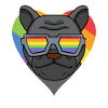 Rainbow - Dog French Bulldog