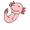 Axolotl Motif Kids Cute