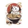 Japanese Ramen Cat | Maru