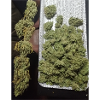 Tetrahydrocannabinol