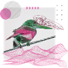 Japanese Bird Style Illustration