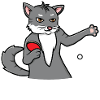 Cat Ping Pong