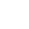 Ping Pong US Flag