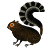 Stylehorn