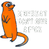 Meerkat