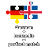 Puzzle islandais allemand