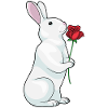 Hase Rose Blumen