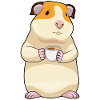 Guinea pig coffee