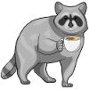 Raccoon Coffee
