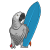 Parrot surf board Summer