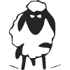 Tolo the grumpy sheep
