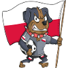 Poland Fan Dog