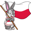 Poland Rabbit