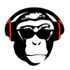 Kiko the music-loving monkey