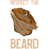 Lizard Dragon Bearded Reptile Gift