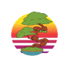 Bonsai Whisperer Bonsai Tree